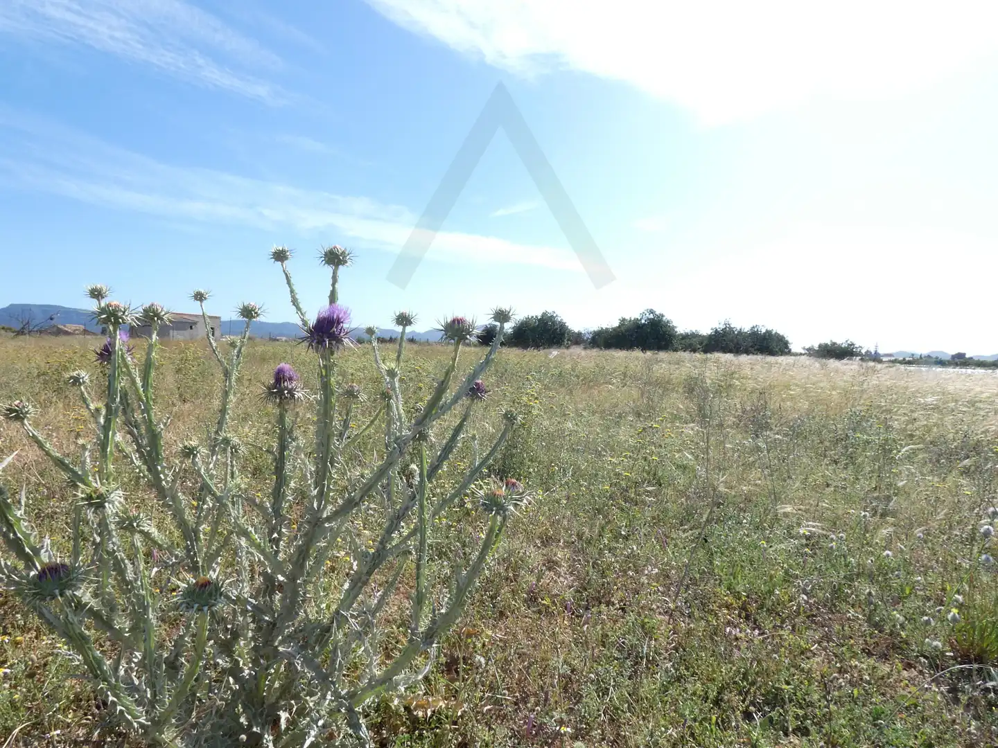 Terreni e lotti in vendita a Pedanías Oeste, imagen 22