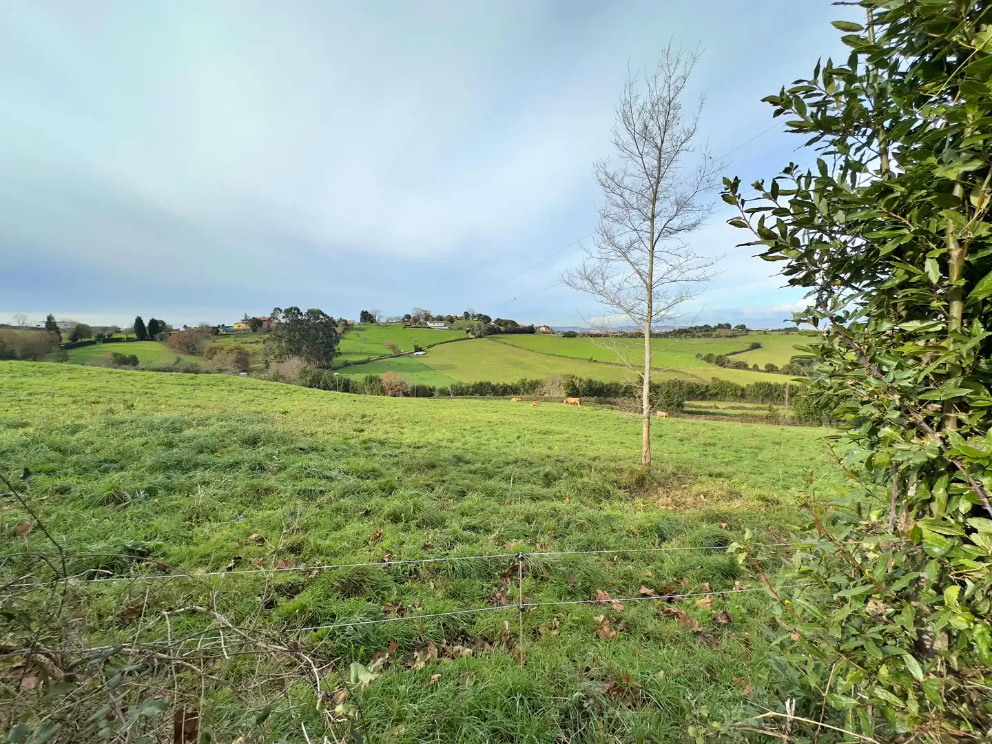 Terreno residenziale in vendita a Rural, imagen 17