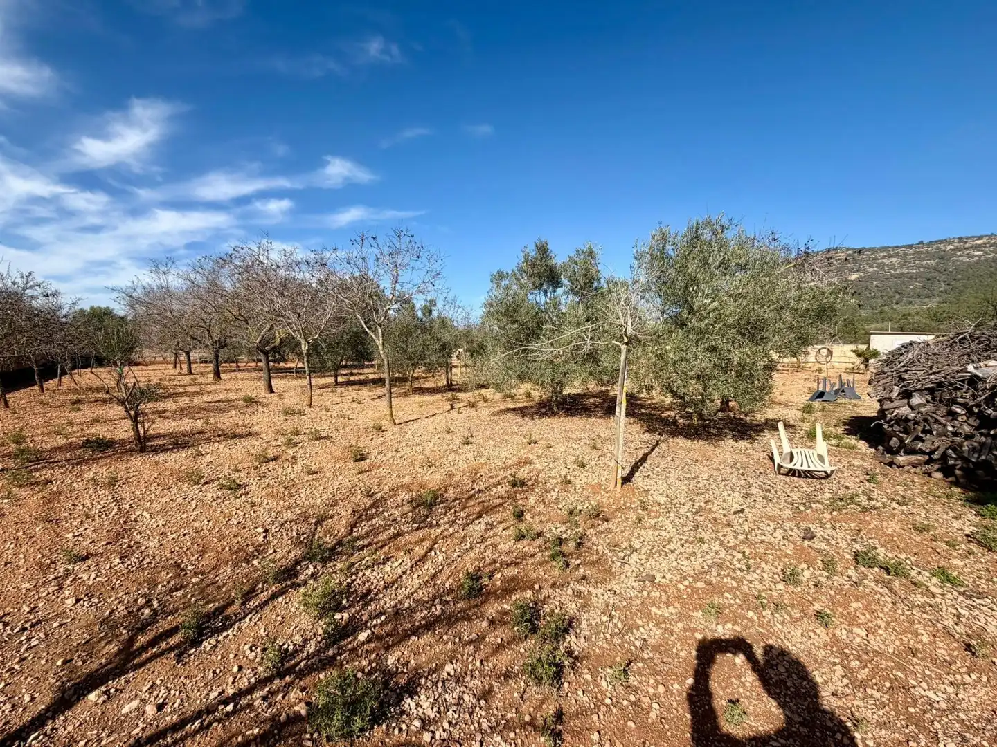Country homes for sale in Llucmajor  with Private garden, Terrace and Alarm