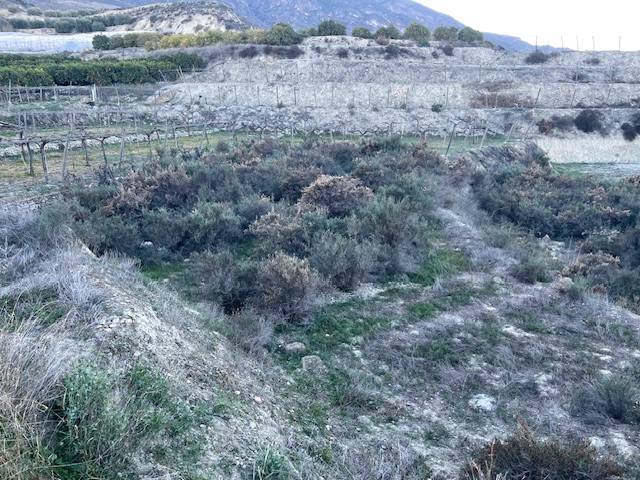 Terreno en Venta en Calle Taha de Marchena, 13 en Huécija