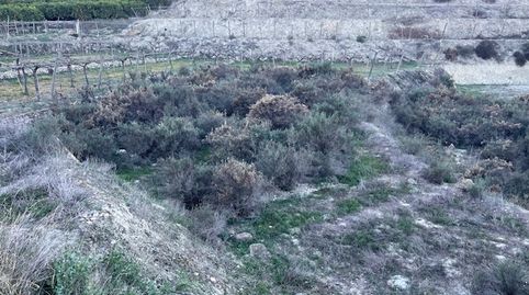 Huecija . Parcela en venta Rustica