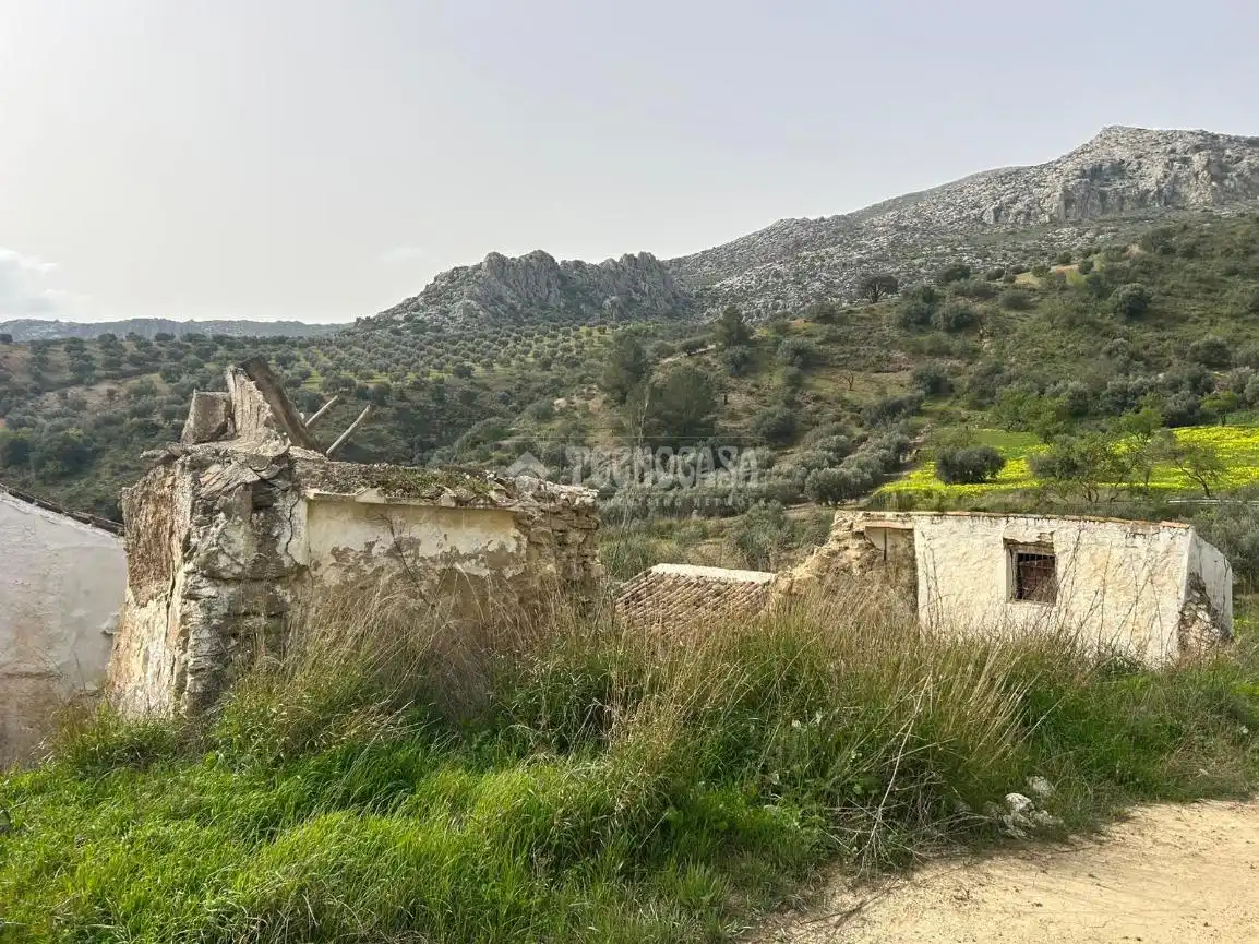 Finca rústica en venta en Antequera