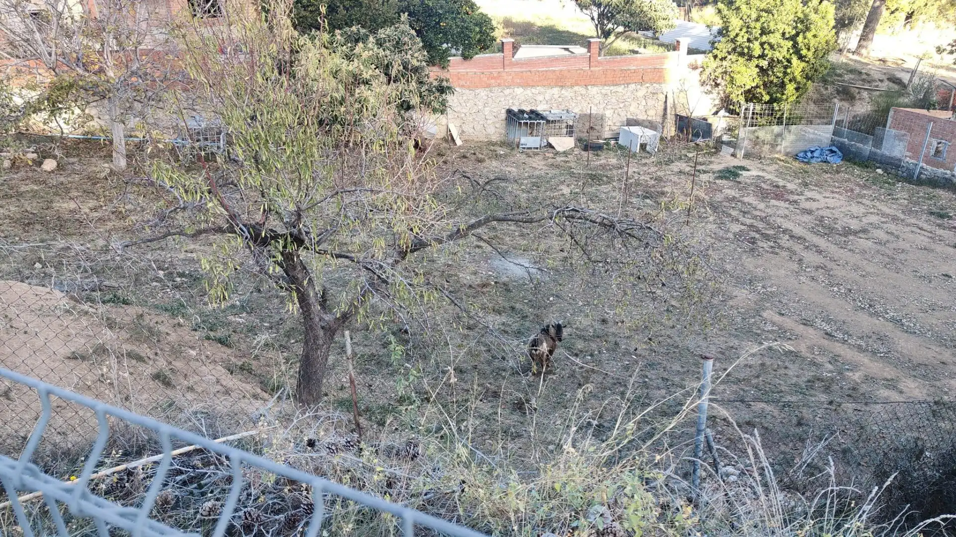 Residential land for sale in Torrelles de Foix, imagen 3