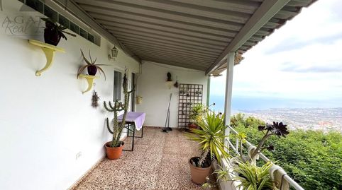 Foto 4 de Finca rústica en venta en La Vega - El Amparo - Cueva del Viento, Icod de los Vinos