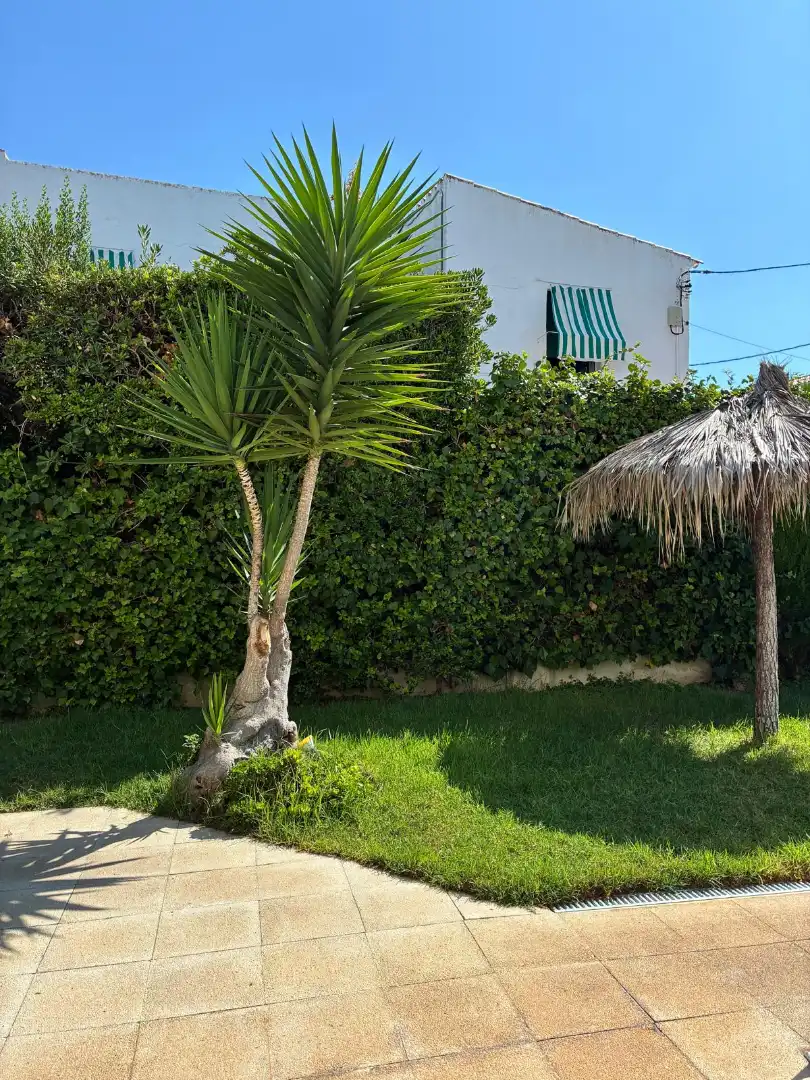 Appartement avec piscine à vendre à Avinguda Mare de Déu de Montserrat, imagen 36