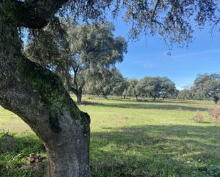 Country house zum verkauf in Torralba de Oropesa