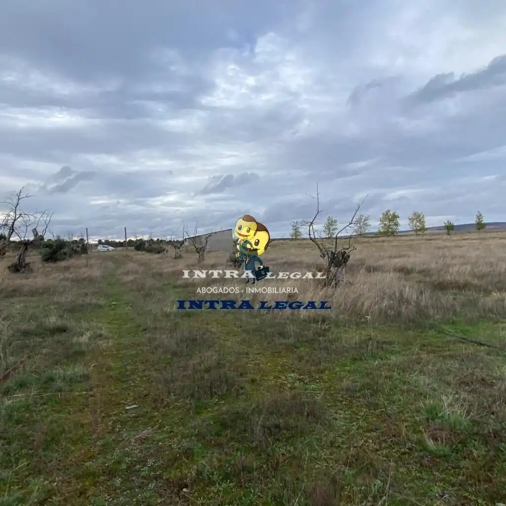 Land for sale in Miranda de Azán