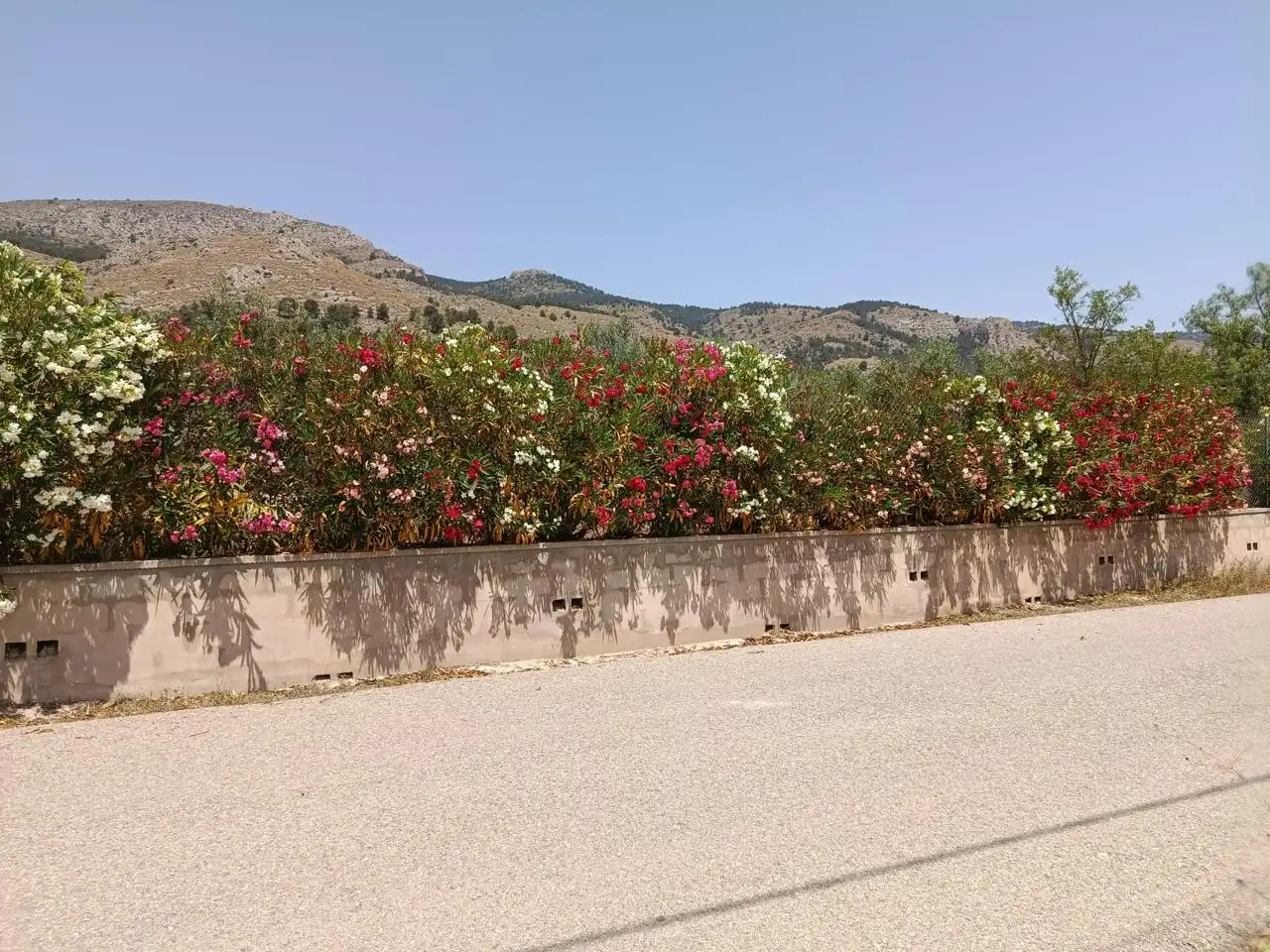 Terrenys i solars en venda a Partida Prats, imagen 4