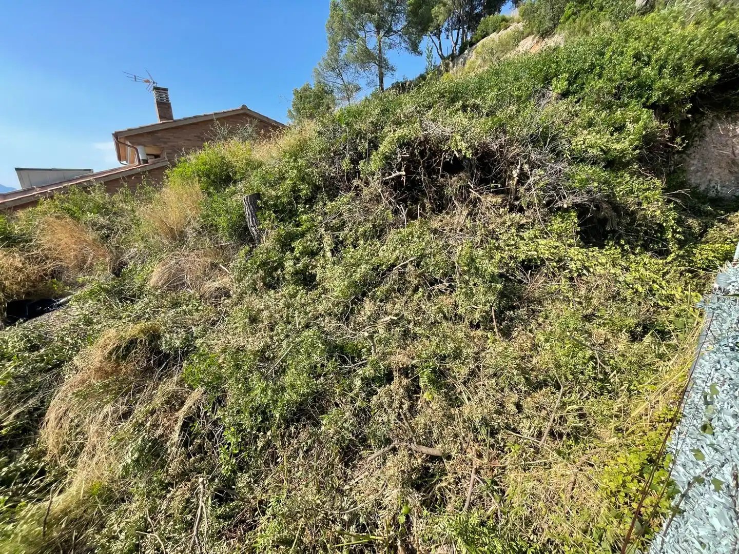 Terreny residencial en venda a Abrera, imagen 5