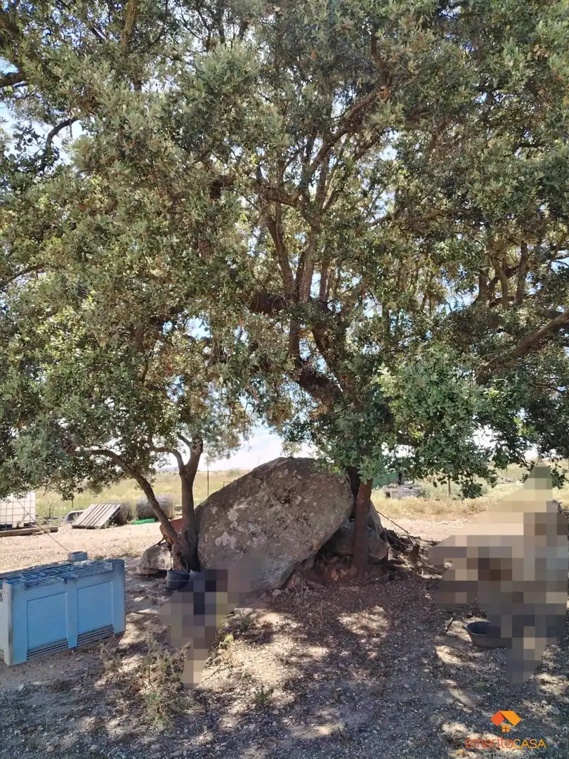 Terreni e lotti in vendita a Aljucén, imagen 8