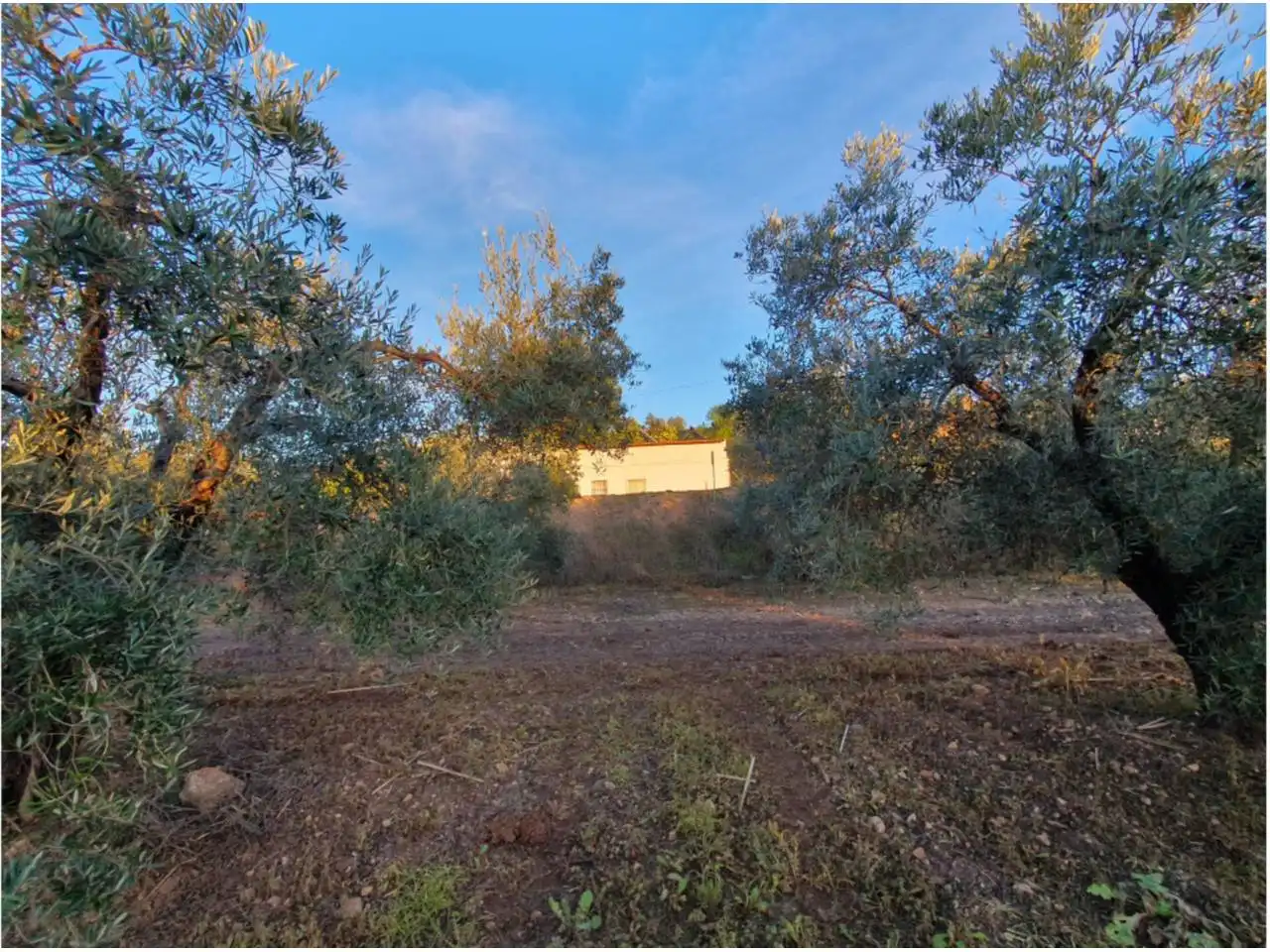 Residencial en venta en Entrín Bajo