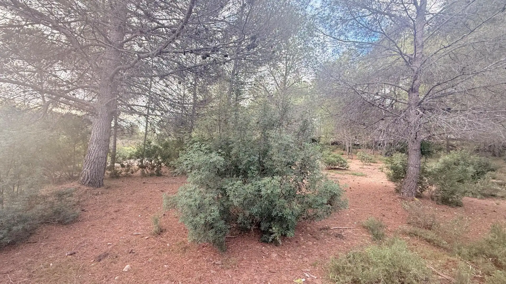 Terreny residencial en venda a Albalat dels Tarongers, imagen 4