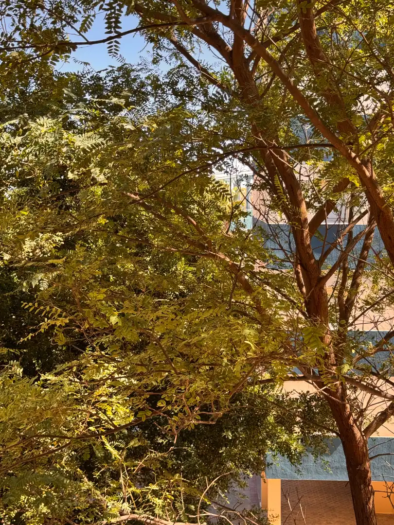 Wohnung zum Verkauf in Astilleros - La Paz  - Loreto - El Corte Inglés, imagen 17