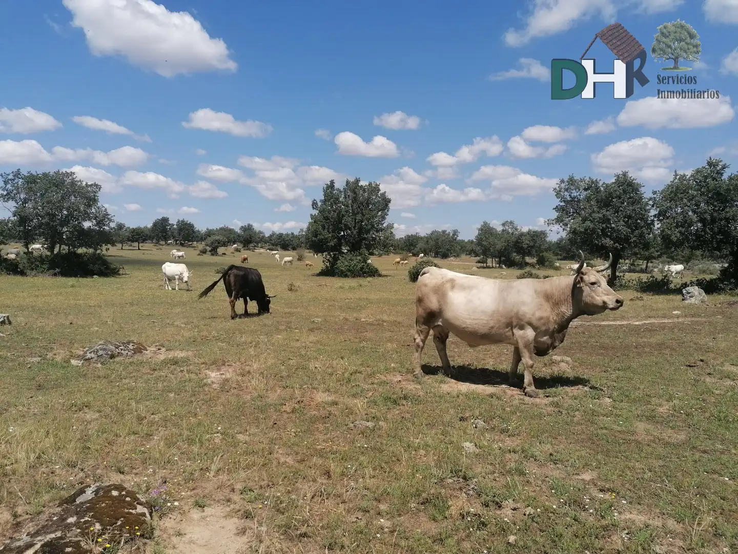 Lands and plots for sale in Barrio Blanco, imagen 2