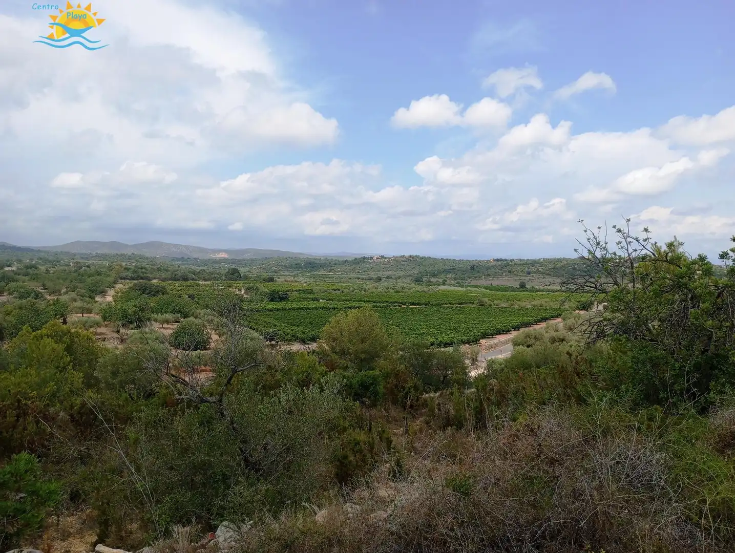 Maison rustique à vendre à CALIG CASTELLON 12589, imagen 15