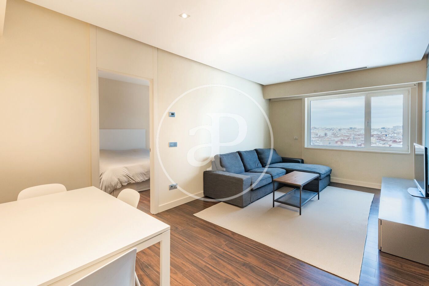 Living room of Flat to rent in  Madrid Capital  with Air Conditioner, Heating and Terrace