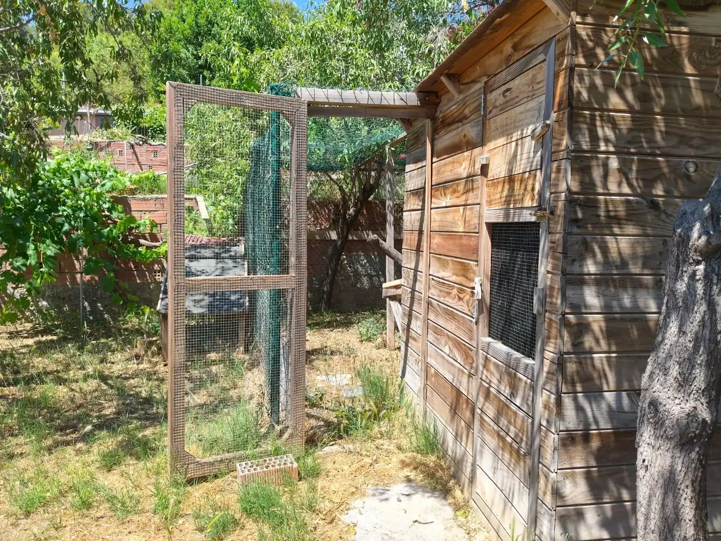Jardí de Casa o xalet en venda en Olesa de Montserrat amb Calefacció, Terrassa i Alarma