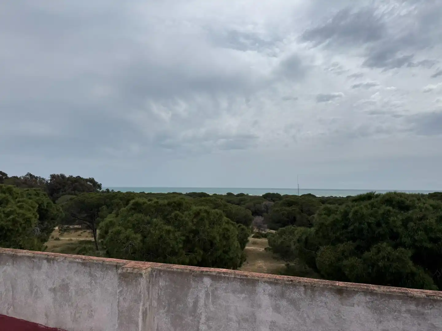 Flat for sale in Guardamar del Segura  with Terrace
