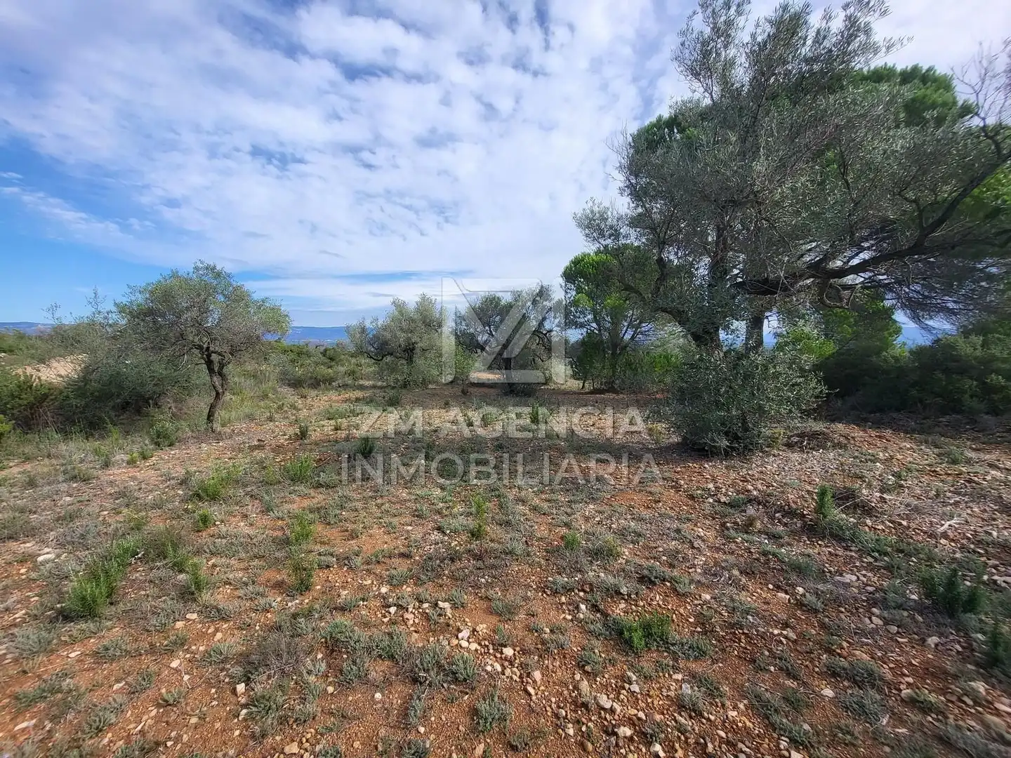 Casa rústica en venta en Traiguera