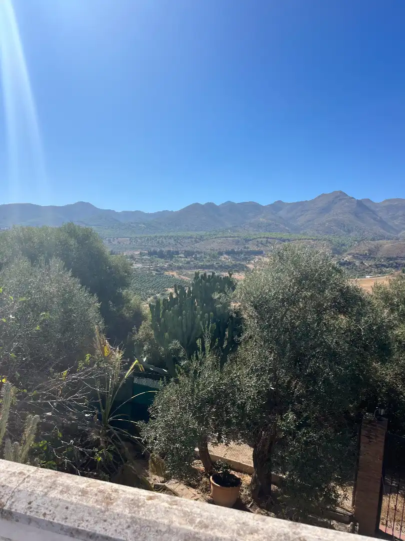 Xalet amb jardí de lloguer a Buenavista - Lauro Golf, imagen 39