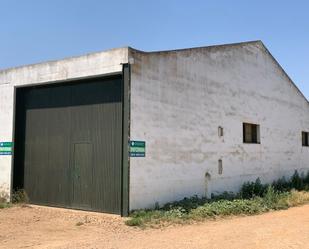 Vista exterior de Terreny en venda en Talavera la Real