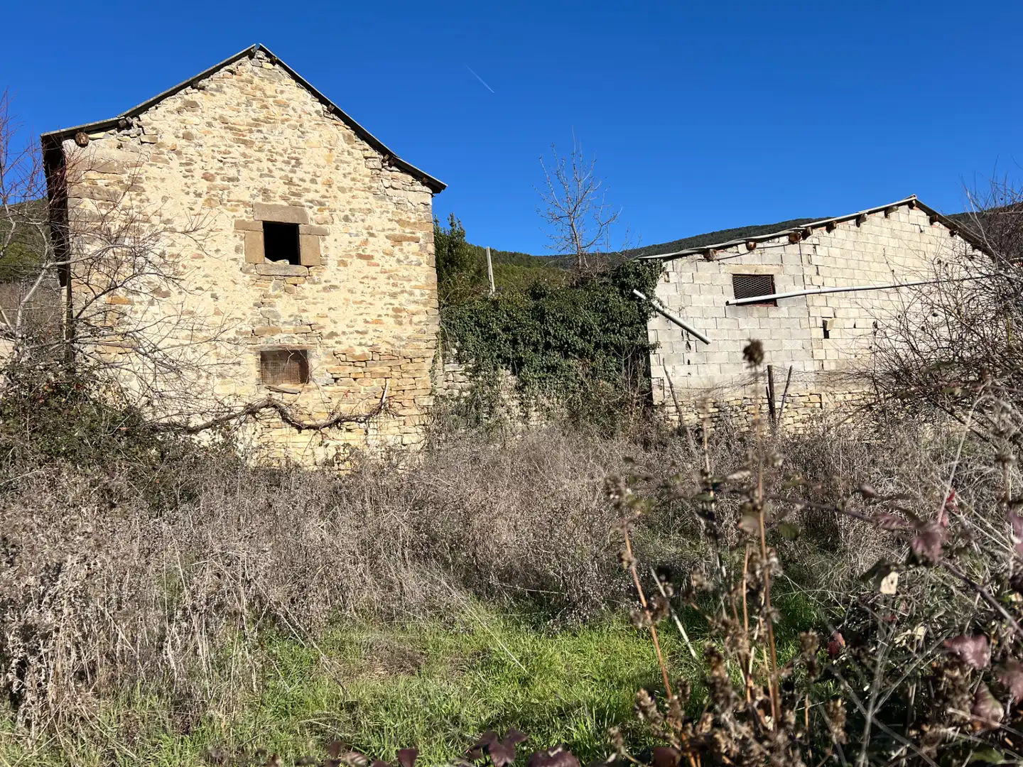 Vista exterior de Finca rústica en venta en Jaca