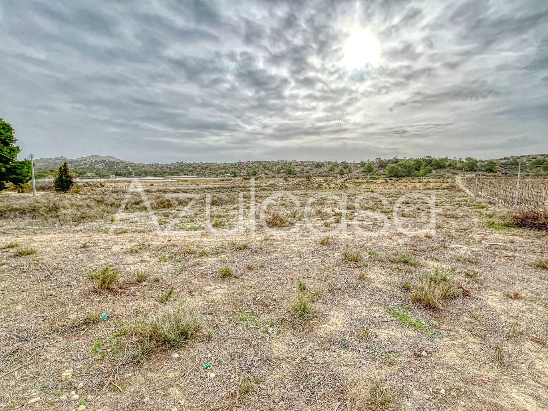 Terreno en venta en Monforte del Cid