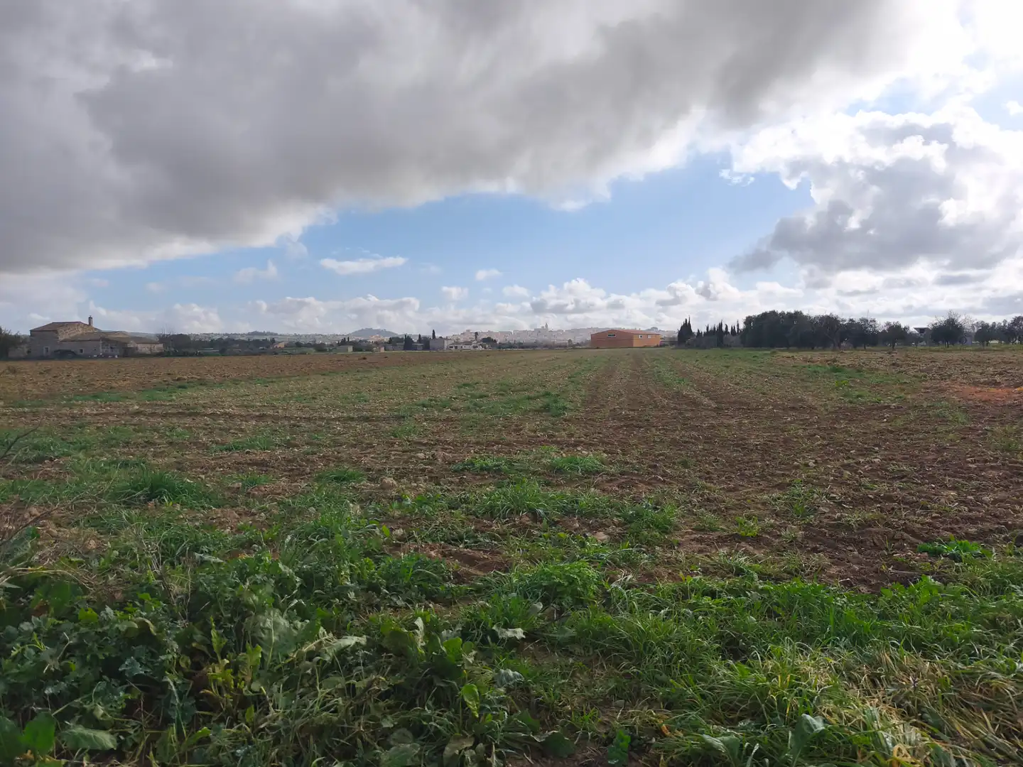 Terreno rustico in vendita a Montuïri