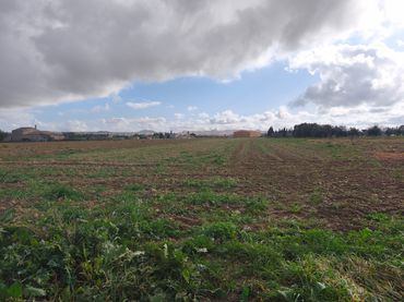 Terreno rustico in vendita a Montuïri