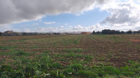 Finca de cultivo