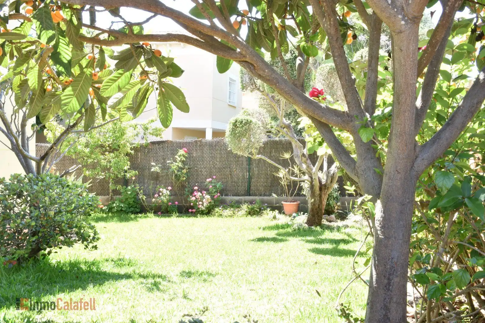 Villa avec piscine à vendre à DOCTOR ROUX, imagen 68