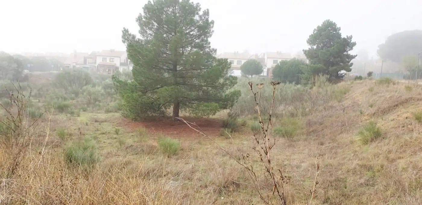 Terreno residencial en venta en Boecillo, imagen 20