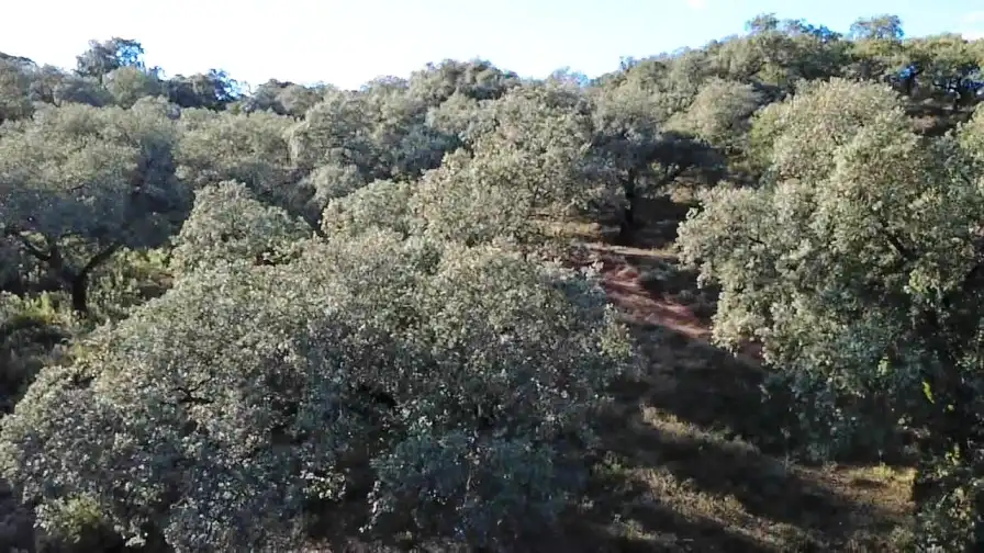 Terrenos y solares en venta en Dehesa 8, imagen 4