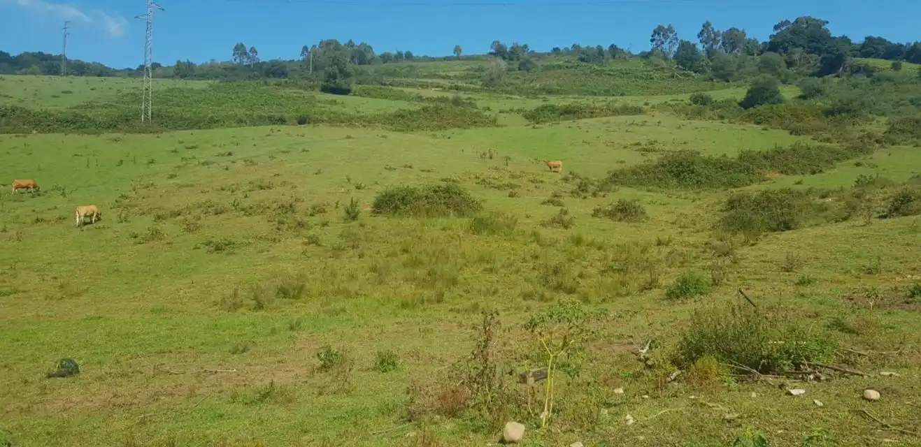 Terreni e lotti in vendita a Paraje la Moñeca, imagen 7