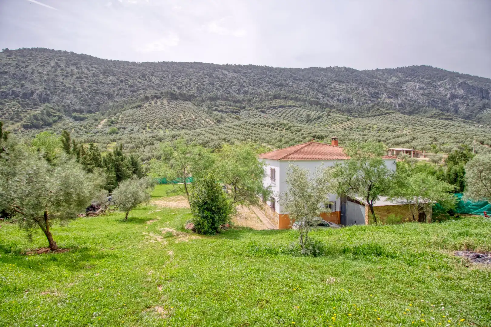 Maison à vendre à Rute, imagen 33