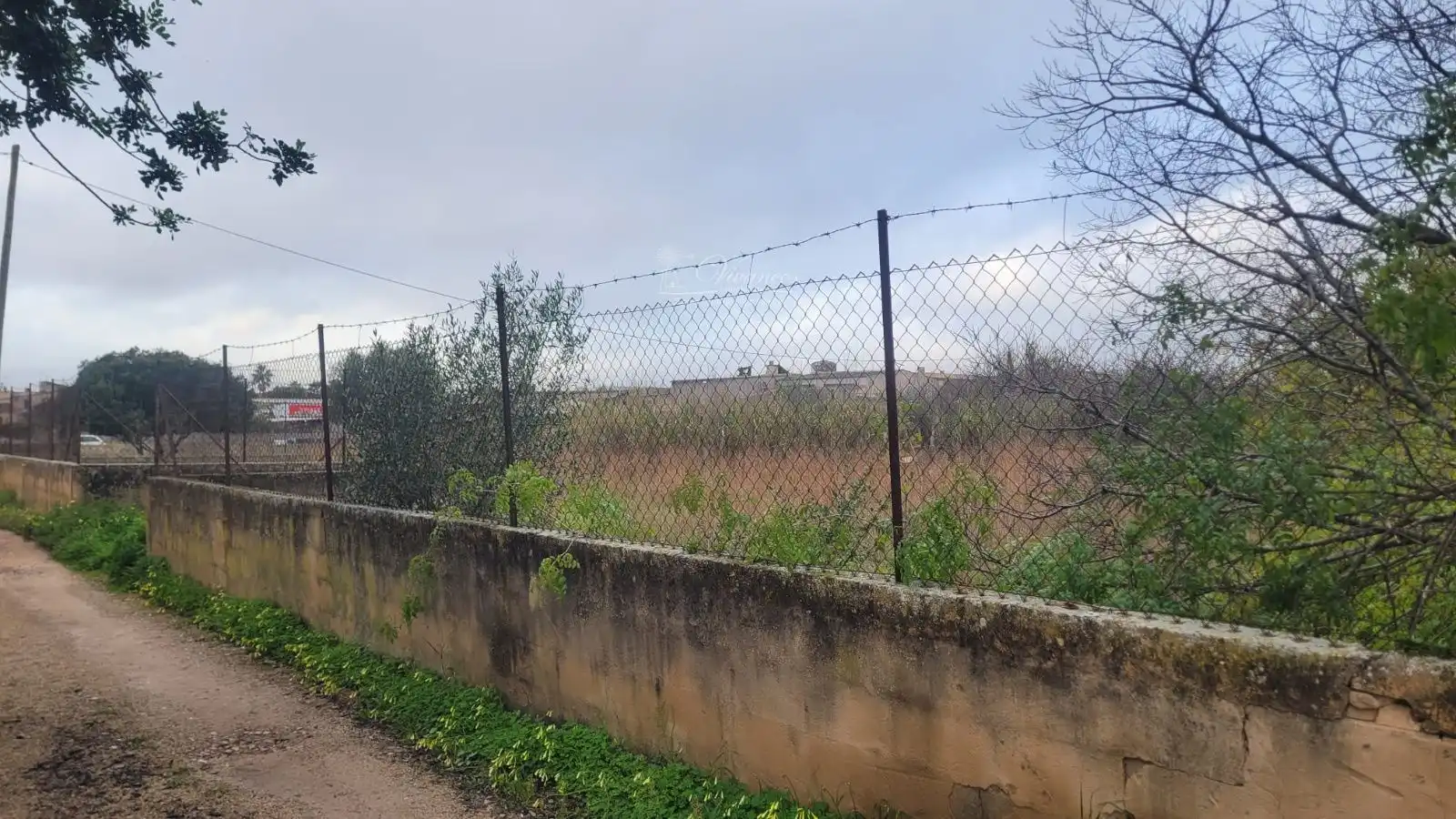 Terreny rústic en venda a Marratxinet