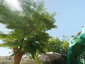Casa o xalet en venda a Buenavista, 32, Portada Verde - Lomo Espino - Guanche