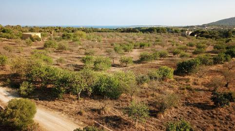 Photo 3 of Land for sale in Ma-4033, Zona d'Interior, Son Servera