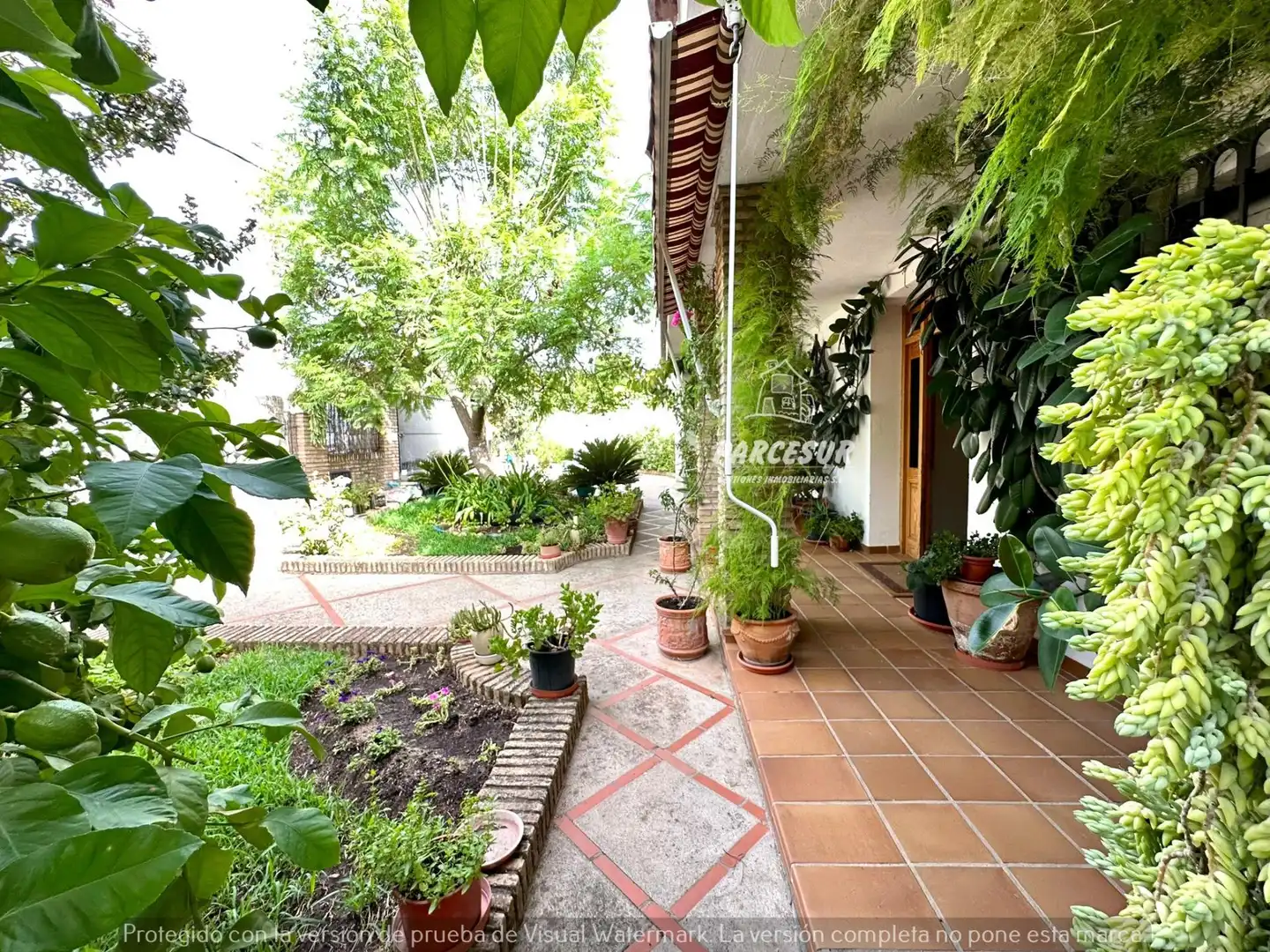 Jardí de Casa o xalet en venda en  Córdoba Capital amb Jardí privat, Piscina i Balcó