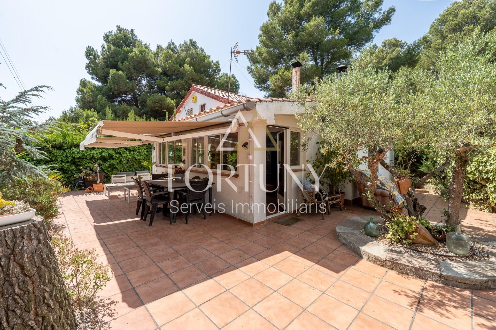 Jardí de Casa o xalet en venda en Les Borges del Camp amb Jardí privat i Terrassa