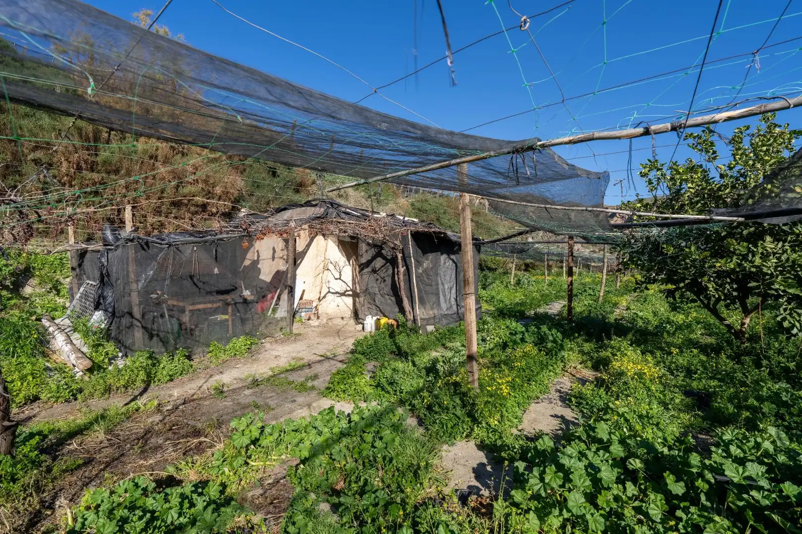 Casa rústica en venda a Canjáyar, imagen 26