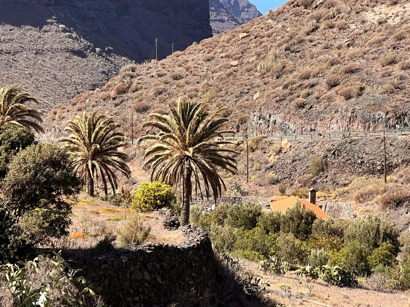 Vista exterior de Terreno en venta en Cidamón