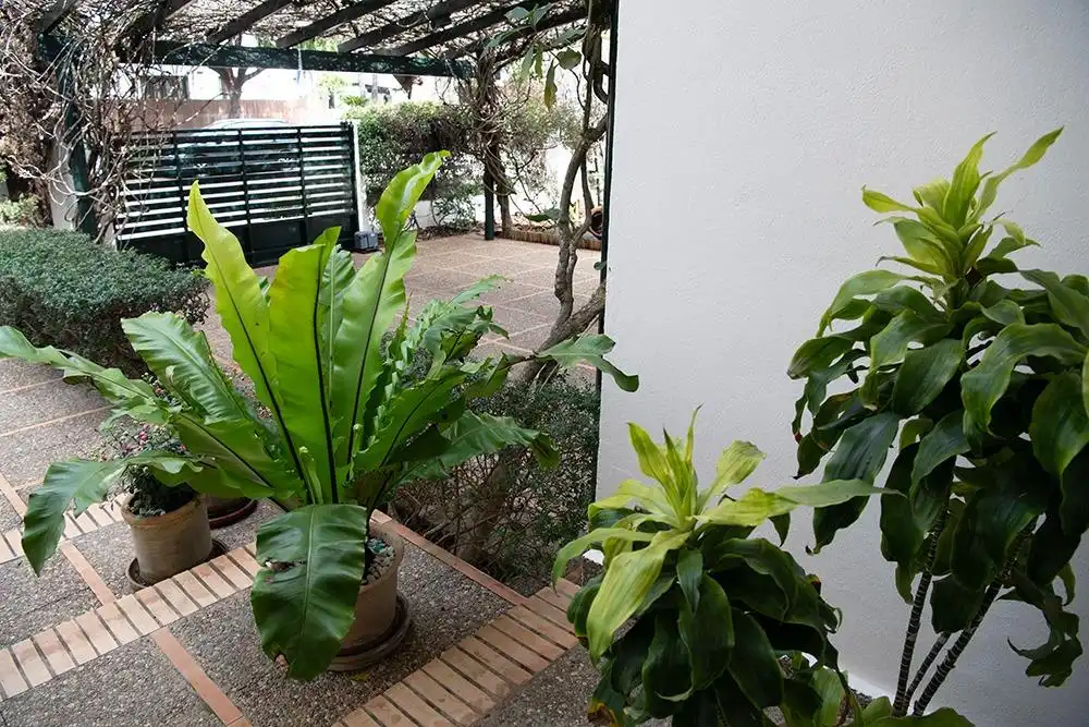 Jardín de Casa o chalet en venta en Bormujos con Aire acondicionado, Calefacción y Jardín privado