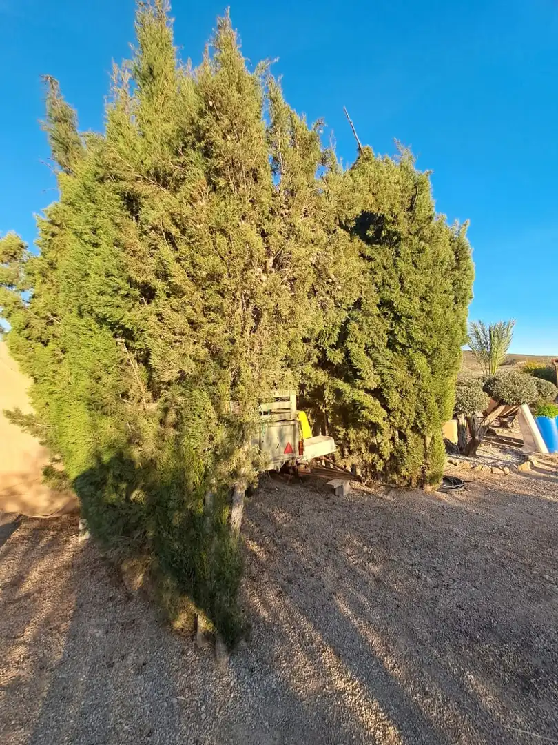 Casa en venta en Pedanías Sur, imagen 15