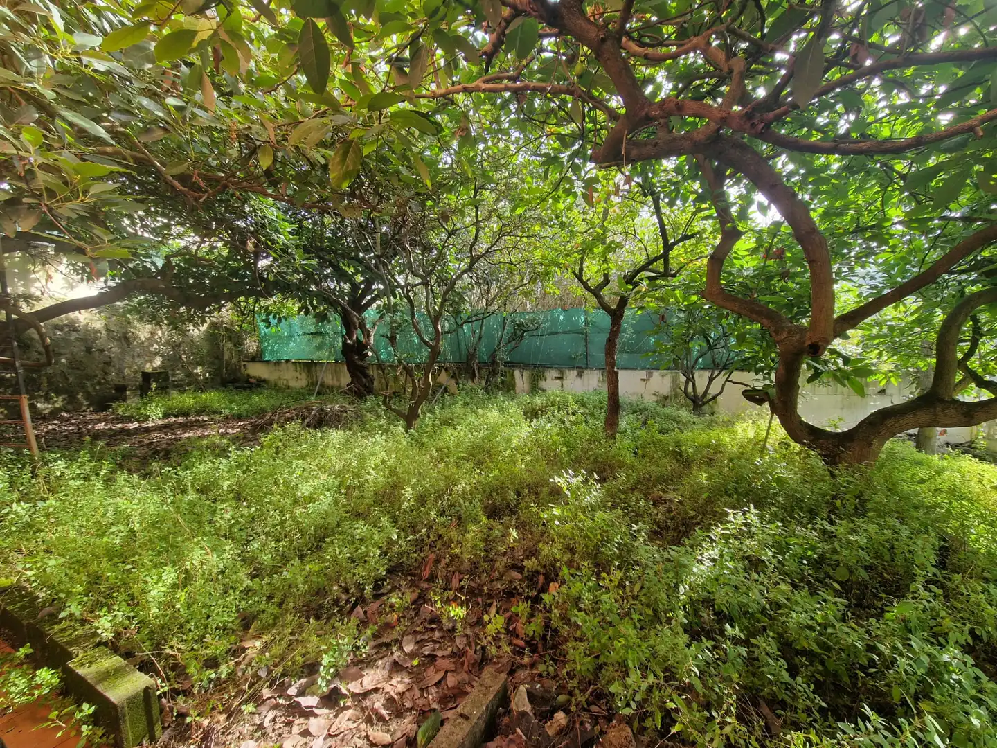 Casa adosada en venda en Teror amb Jardí privat i Internet