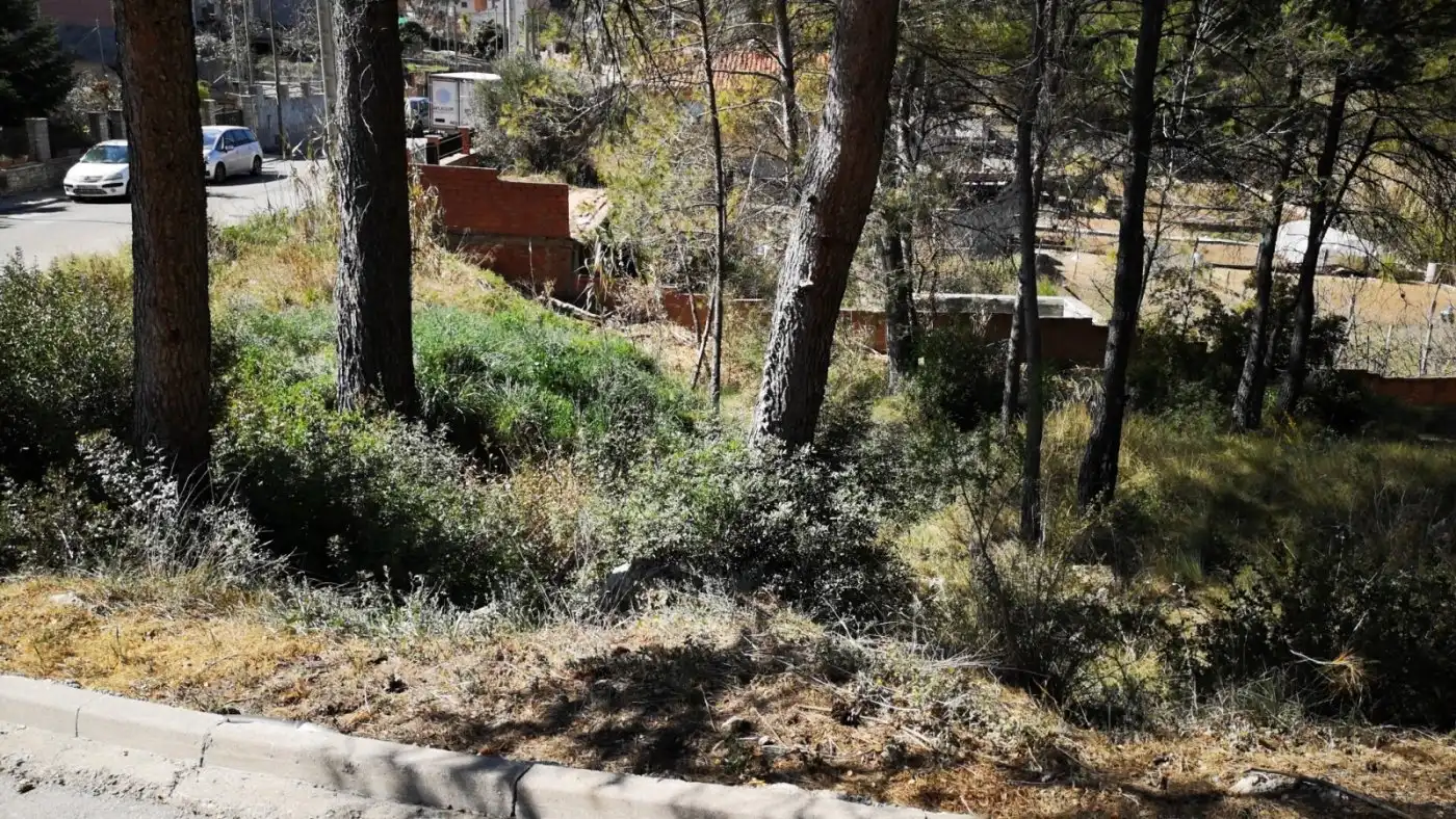 Lands and plots for sale in La Pobla de Claramunt, imagen 2