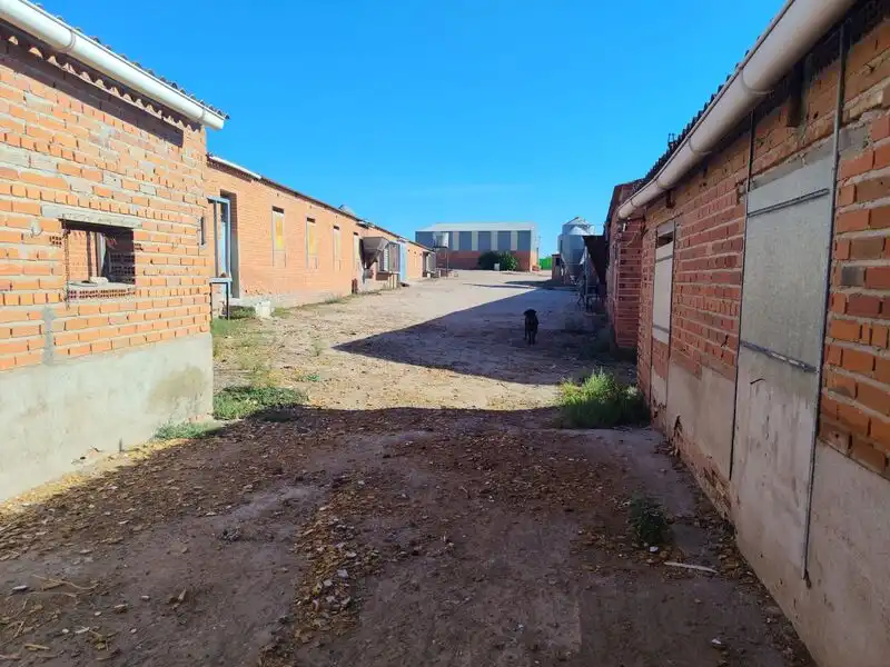 Nau industrial en venda en La Mata