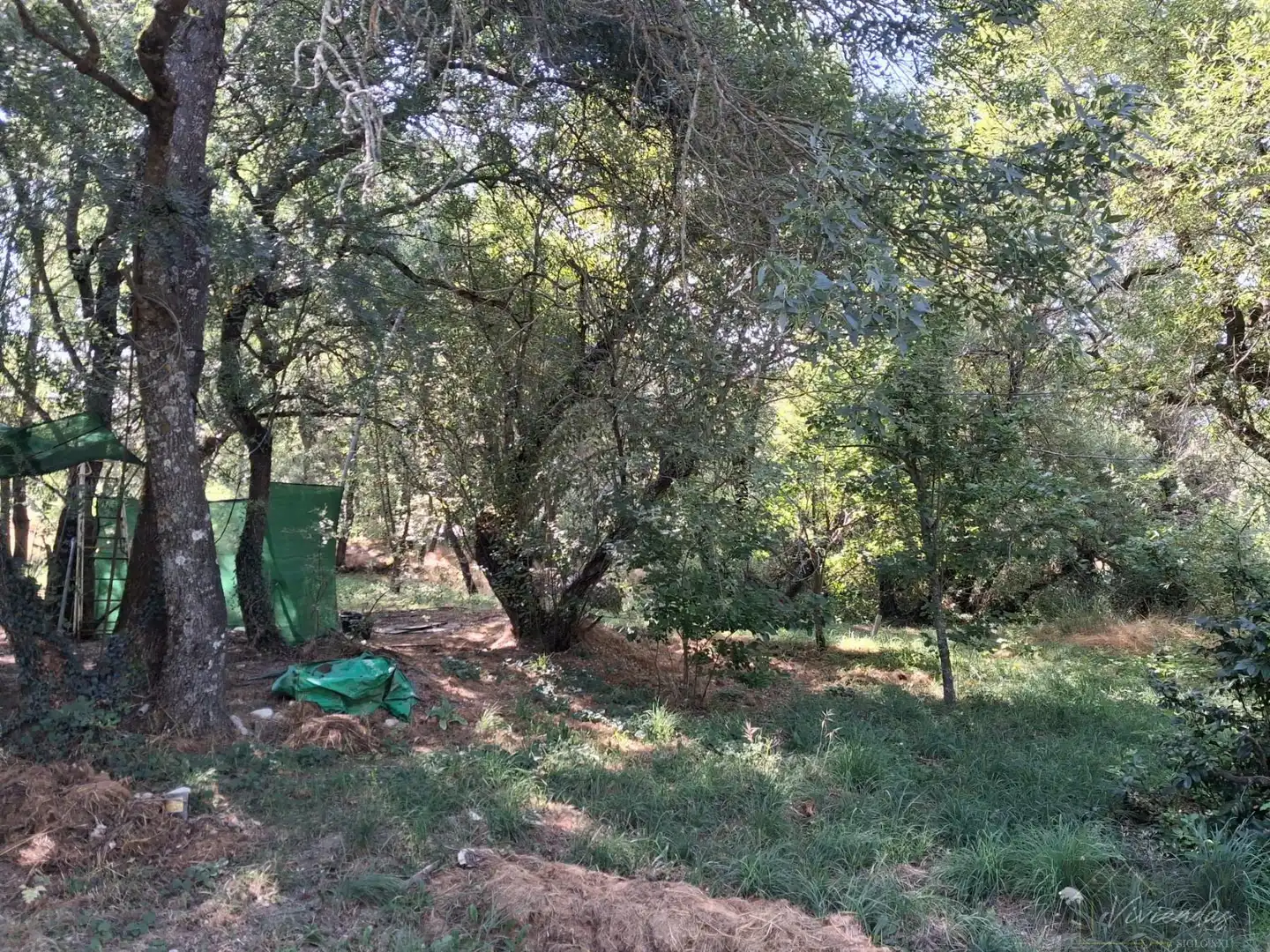 Finca rústica en venta en Bustarviejo