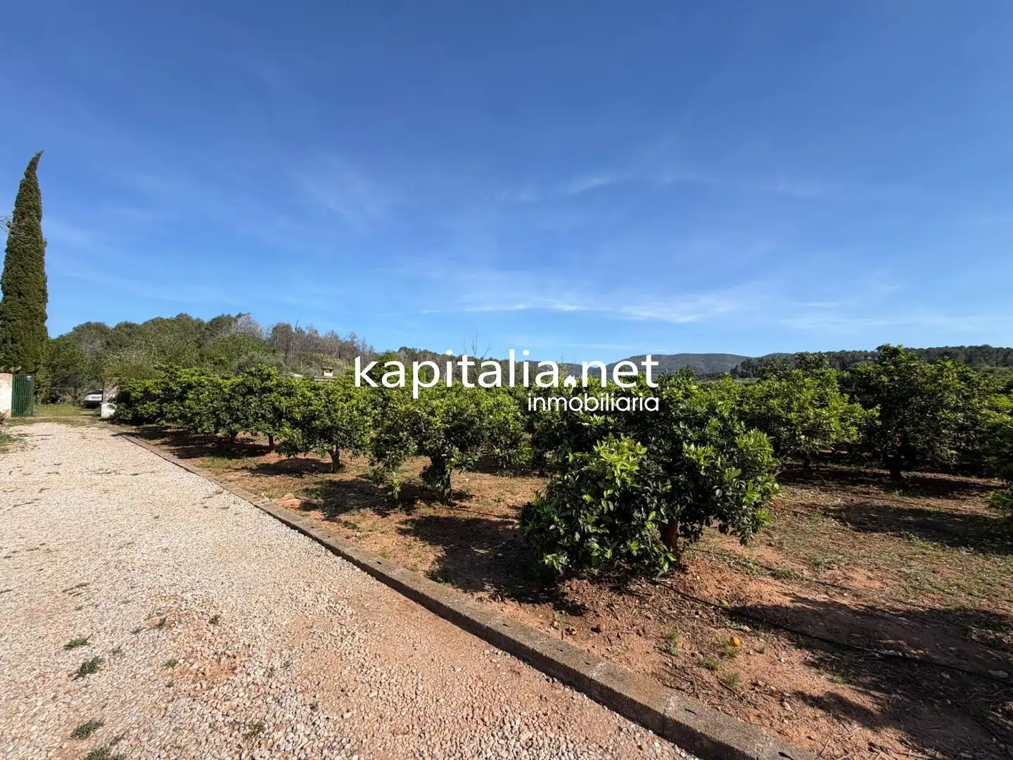 Casa o chalet en venta en Barxeta con Jardín privado, Terraza y Piscina