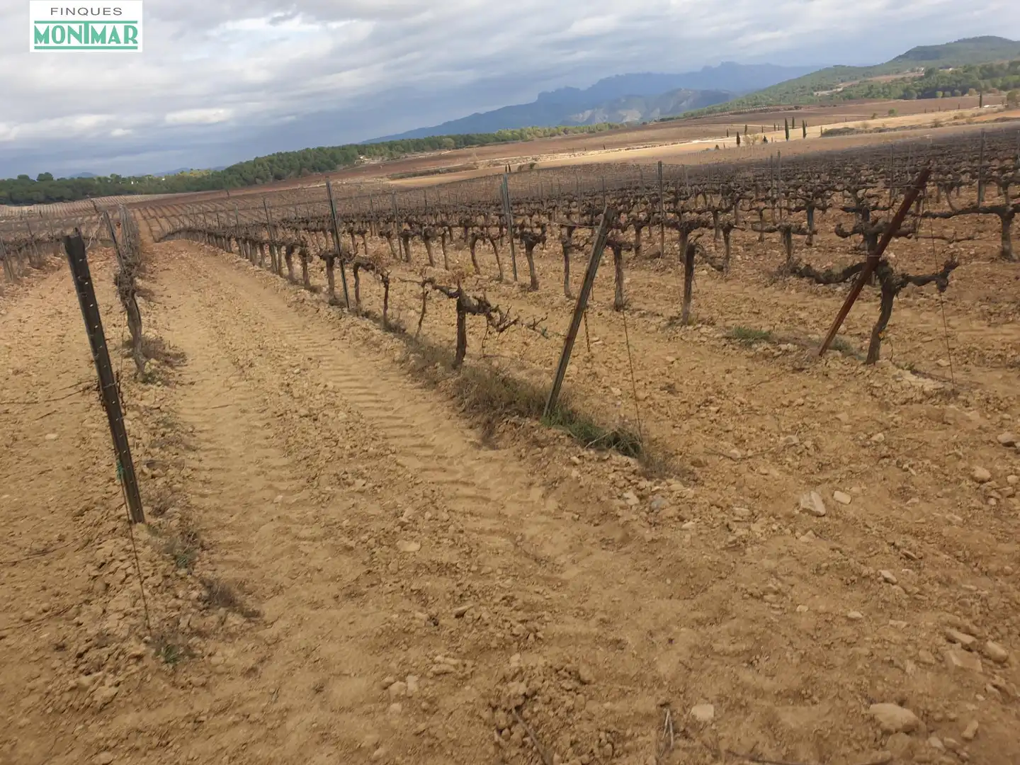 Finca rústica en venda en Vilafranca del Penedès